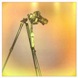 avatar_10695