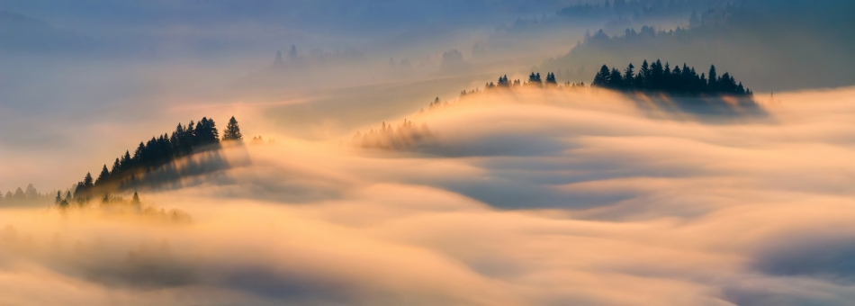 stroop - Misty morning. . Zdjęcie 186481