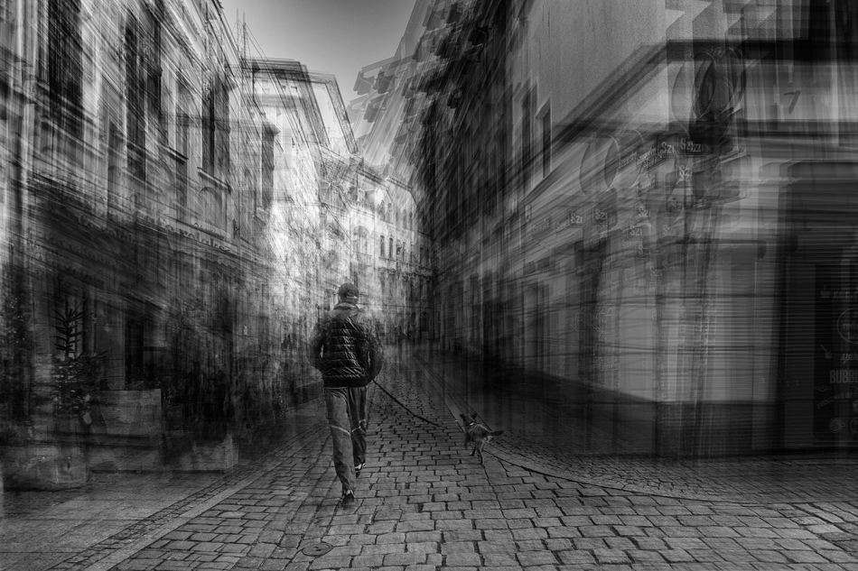 akrims - . . Zdjęcie 311148
