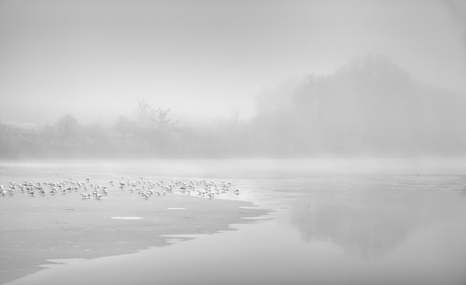 akrims - . . Zdjęcie 280957