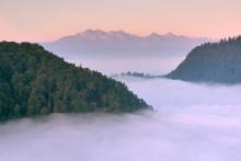 Pieniny