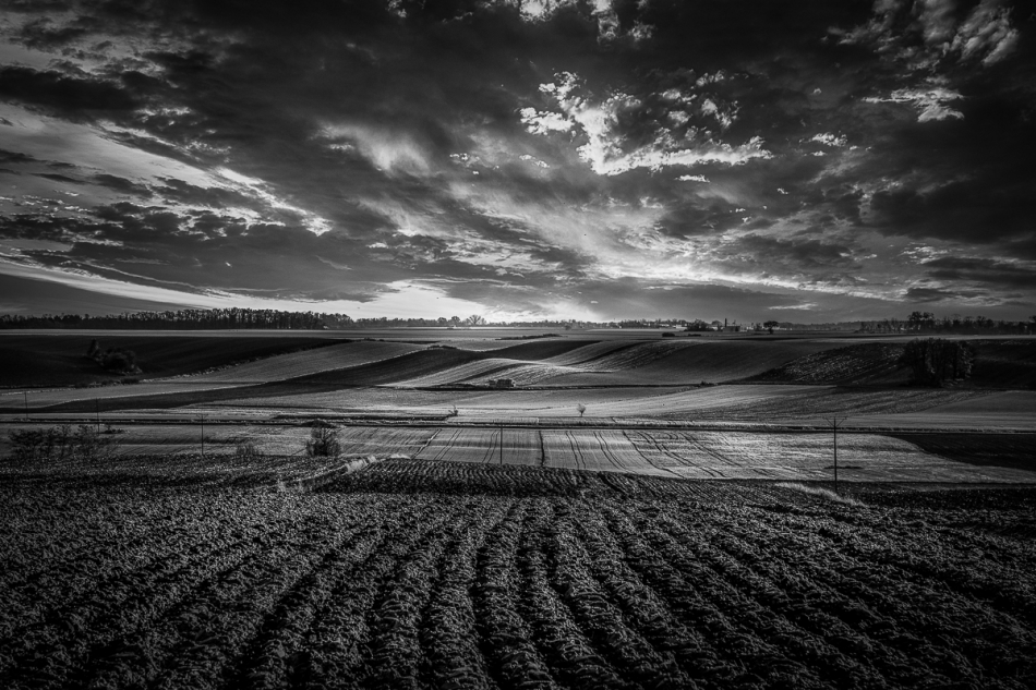 walewsky - Pola. . Zdjęcie 296617