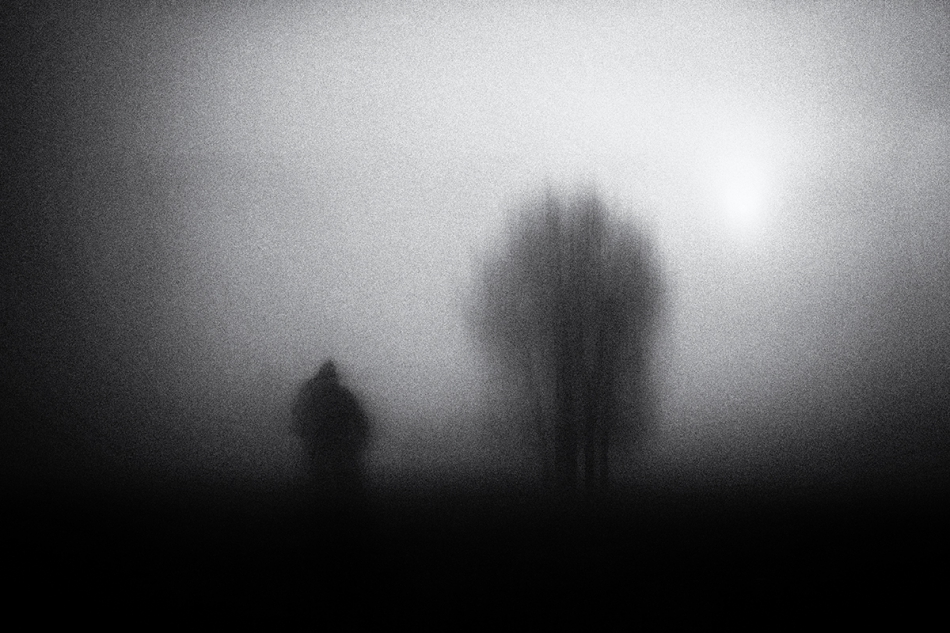akrims - . . Zdjęcie 309568