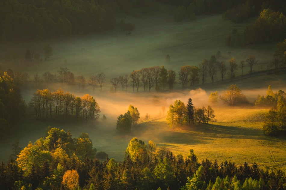 bonnieandclyde - Another Wonderful Autumnal Day.... . Zdjęcie 254880