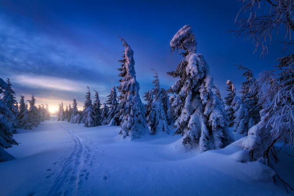 bonnieandclyde - A Winters Tale...... . Zdjęcie 331490