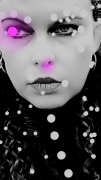The Legendary Pink Dots