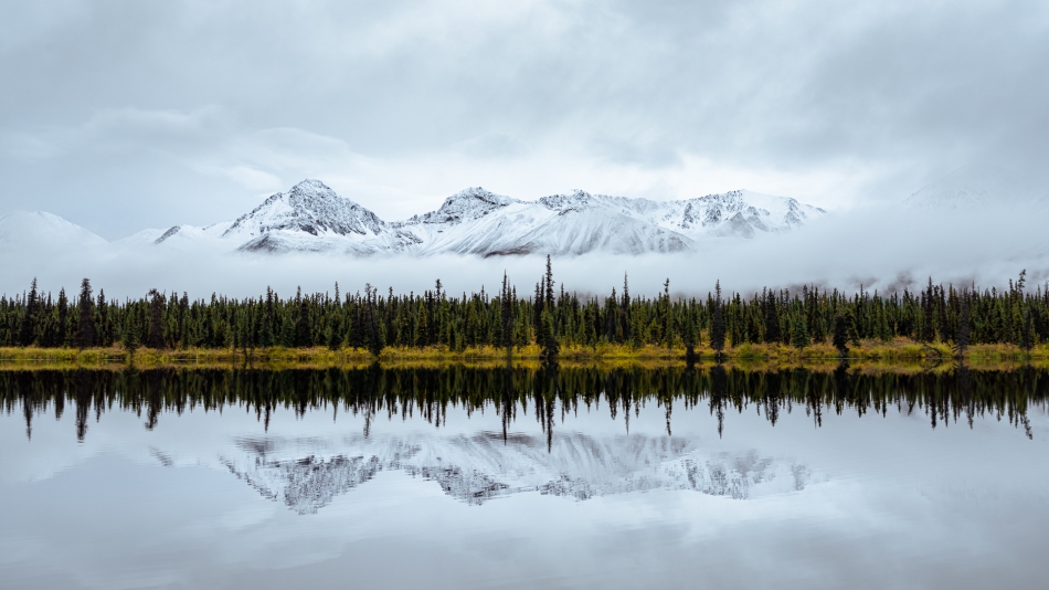 Lilen - Puls natury. Jadąc drogą Denali Highway zobaczyłem te góry ukryte we mgle unoszącej się na horyzoncie. Zatrzymałem się przy jeziorze, w którym ich majestatyczne sylwetki topiły się w spokojnej tafli wody..... Zdjęcie 319504