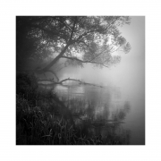 In This River
