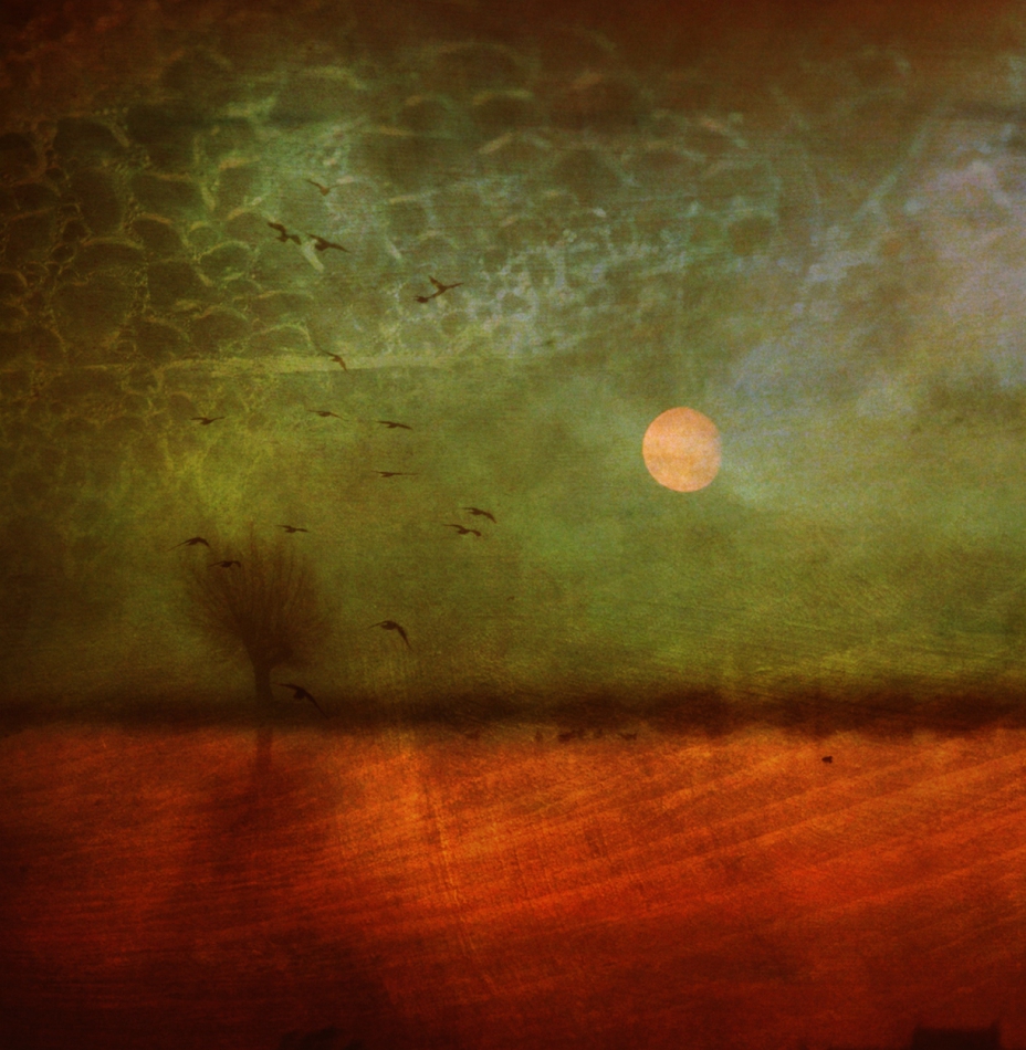 October Rust.... . Zdjęcie 319419