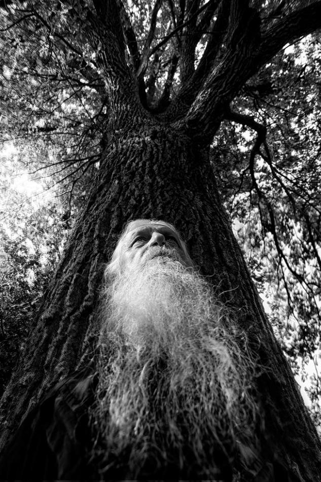 wildwhisper - Jak Stare Drzewa. . Zdjęcie 239655