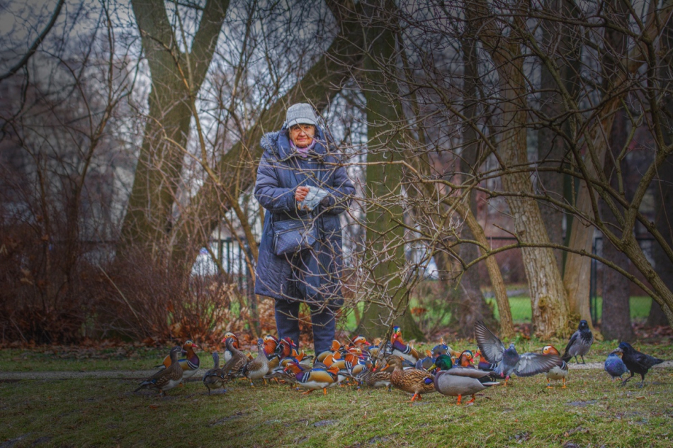 Kawecki.foto-przyroda - W stadzie raźniej. . Zdjęcie 311915