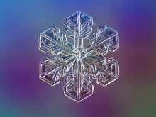 Snowflake.