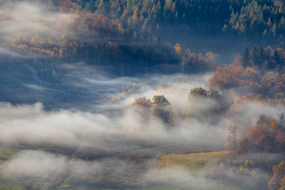 bonnieandclyde - An Autumns Tale.... . Zdjęcie 324822