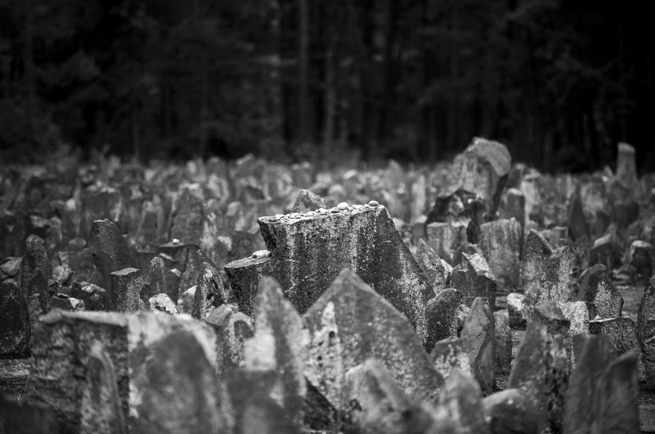 indywidualista - pamiętamy. Treblinka 2023. Zdjęcie 317108