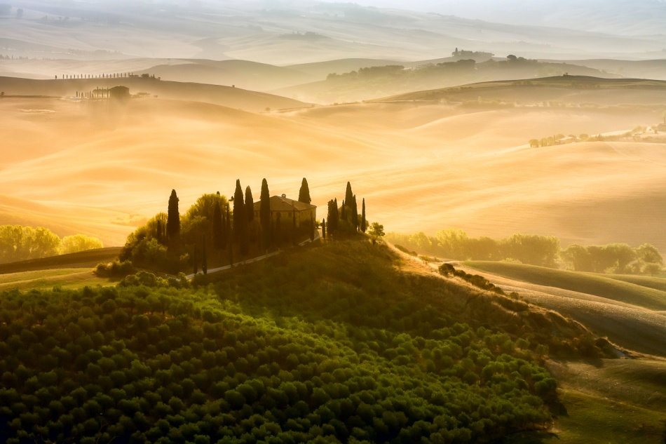 mgregor - Zdjęcie autorstwa mgregor. . Zdjęcie 337185