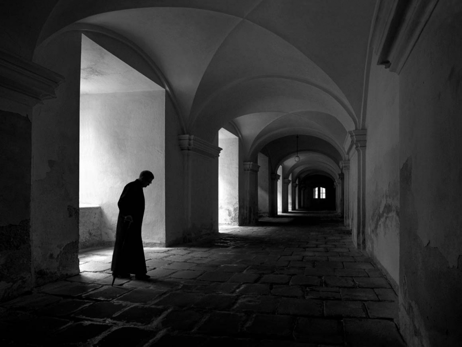 kajar - . . Zdjęcie 313653