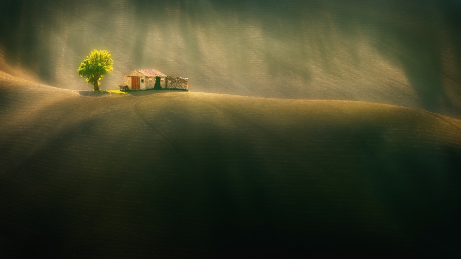 hix - Fields.... zapraszam na PE. Zdjęcie 311414