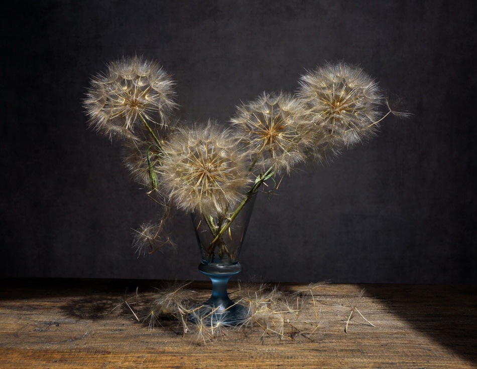elisha - . wyróżnione akceptacją w konkursie : 1st International Exhibition of Photography NYSCC CIRCUIT 2019  wyróżnione akceptacją w konkursie:  40th NORTHERN COUNTIES INTERNATIONAL SALON OF PHOTOGRAPHY 2019 organizowanym w Anglii.. Zdjęcie 225190