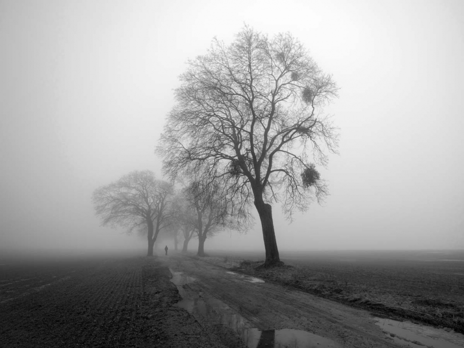 kajar - . . Zdjęcie 322249