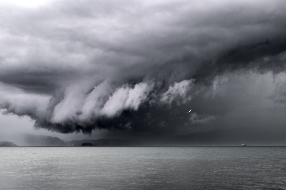 jerzy_safijanski - Monsun. . Zdjęcie 329617