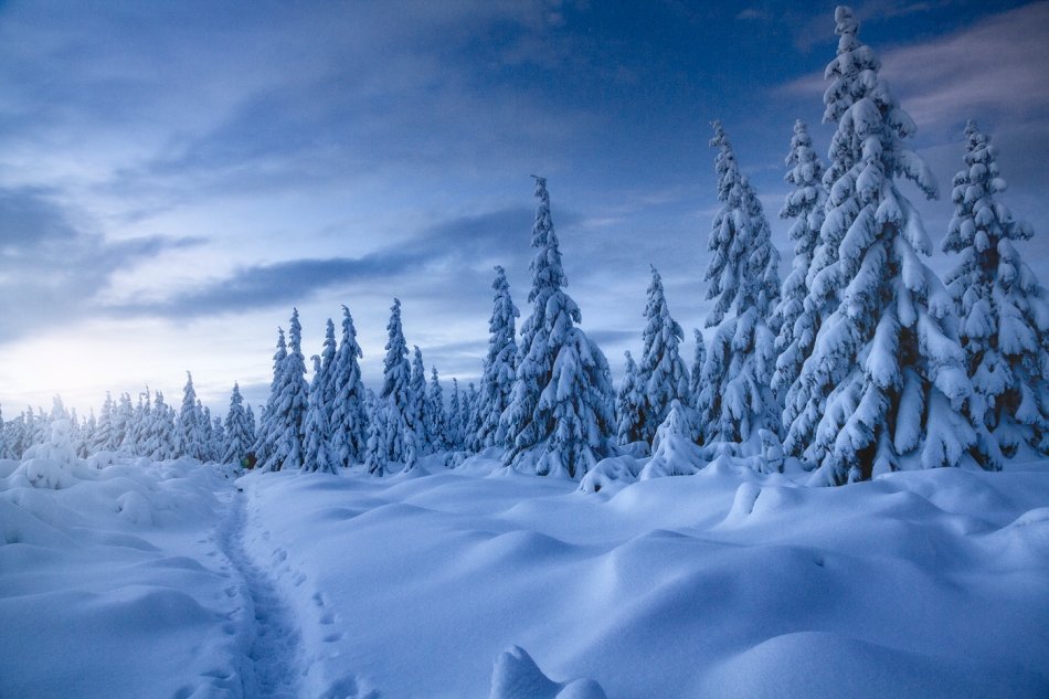 bonnieandclyde - Winter Path.... . Zdjęcie 329905