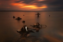 Pierwszy płatek śniegu