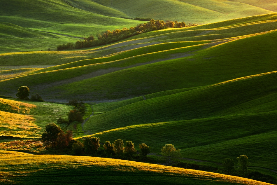 Crete Senesi. PE. Zdjęcie 334251