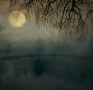 Autumn Dreams...