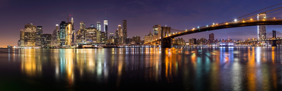 marcus_lizard - NYC. . Zdjęcie 285566