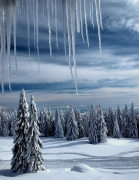 Winter story