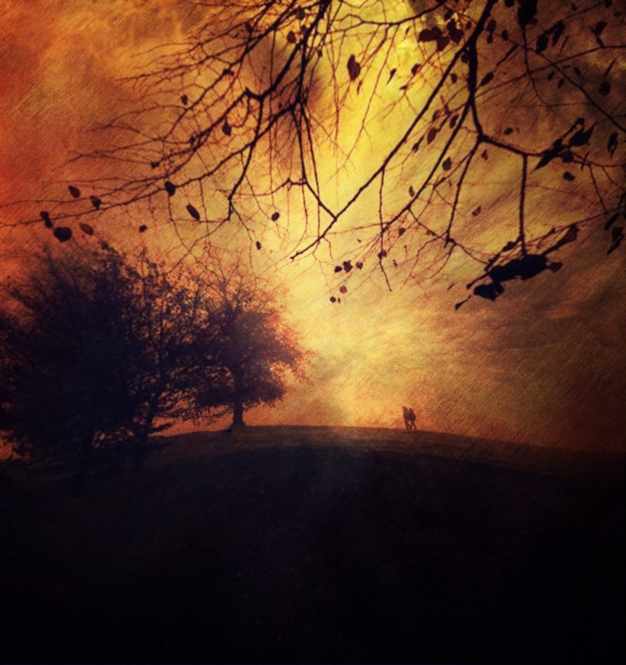 robin74r - NOVEMBE R. . Zdjęcie 336730