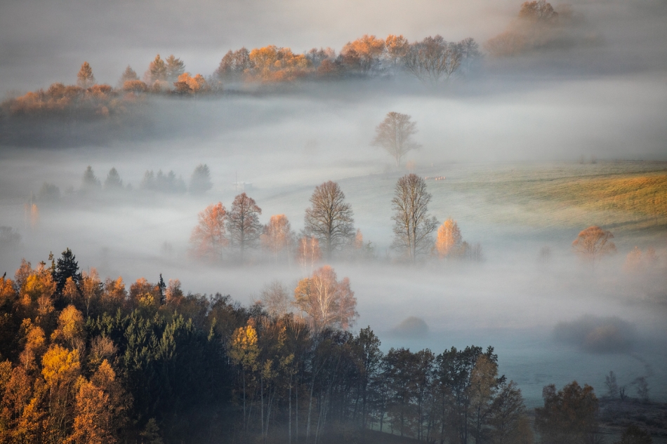 bonnieandclyde - Season of Mists.... . Zdjęcie 328283