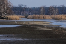 Przestrzeń..