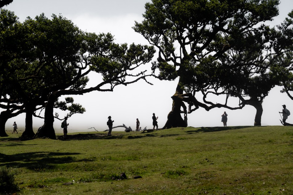 jerzy_safijanski - Zagubieni. . Zdjęcie 337708