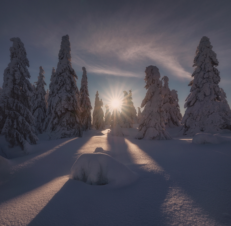 hoobie - In Search Of Winter. . Zdjęcie 257915