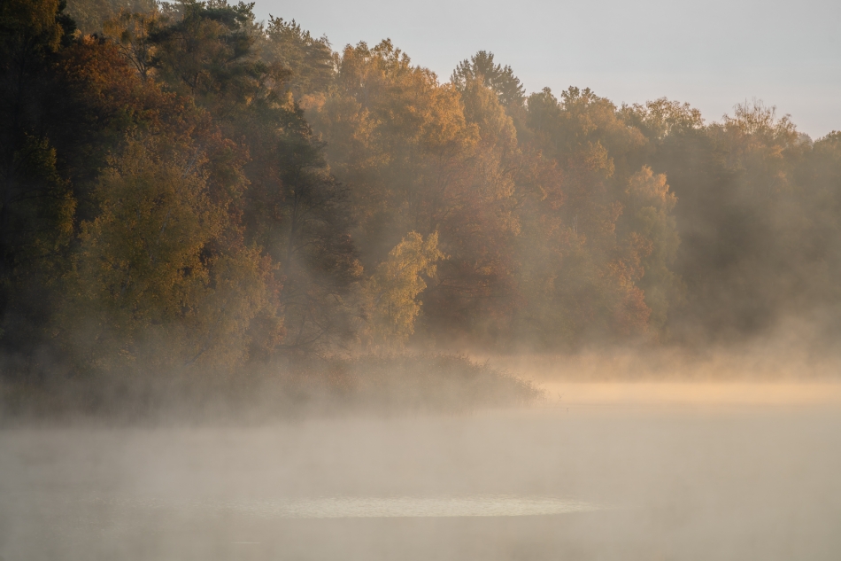 jerzy_safijanski - Złocienie jesieni. . Zdjęcie 336580