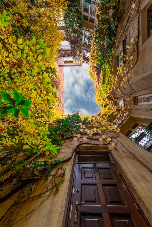 tomasz_z1973 - .. . Zdjęcie 336487