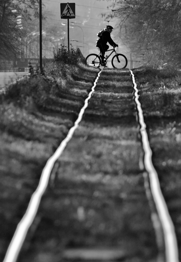 mariusz_je - . . Zdjęcie 279167