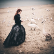Black swan