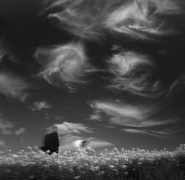  Gone with the Wind