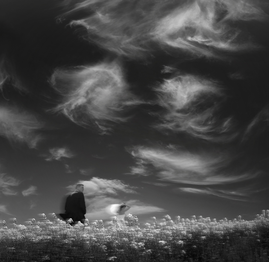 ambiaso -  Gone with the Wind. . Zdjęcie 180660