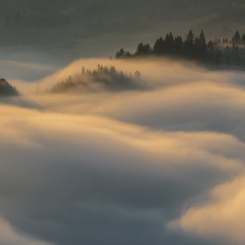 Pieniny