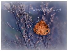 Wesołych Świąt!