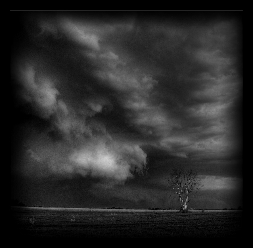 elisha - . . Zdjęcie 175506