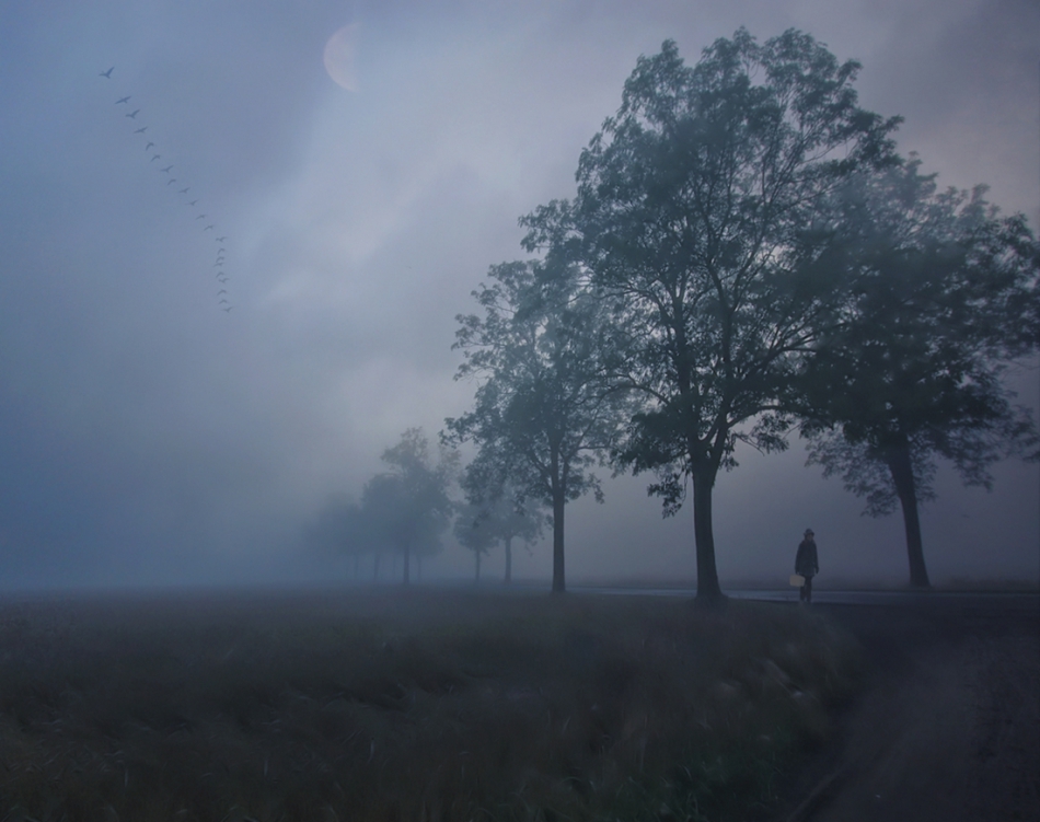 robin74r - Gloomy Morning. . Zdjęcie 126264