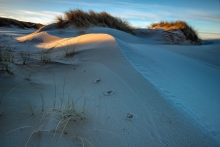 Sands of Forvie