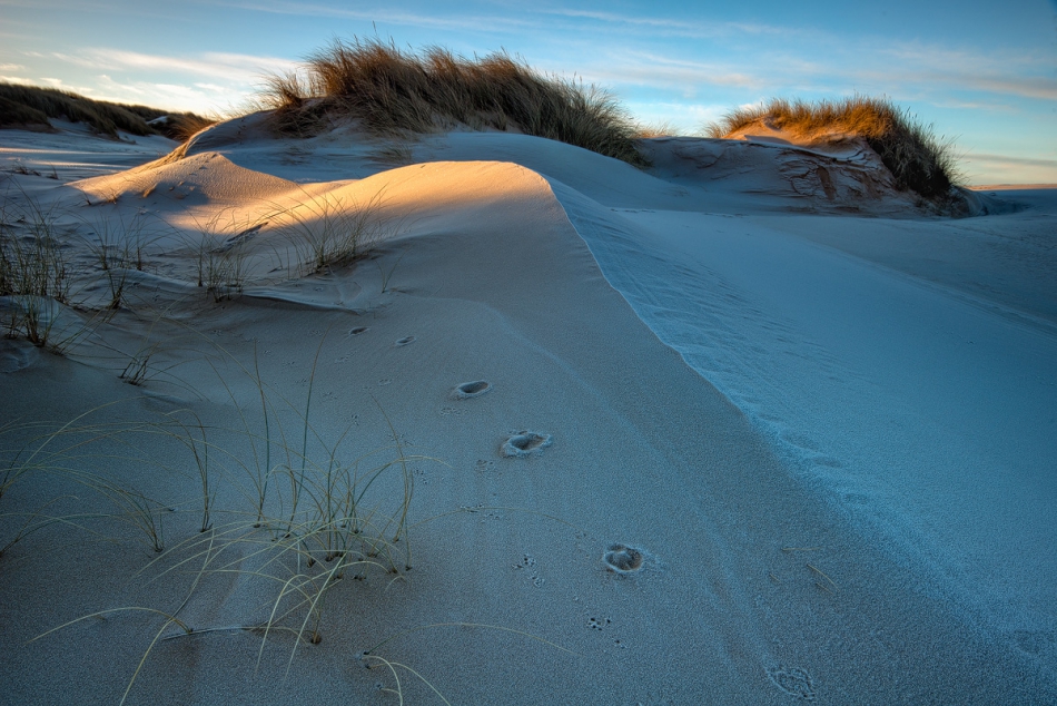 hubert_m - Sands of Forvie. . Zdjęcie 221370