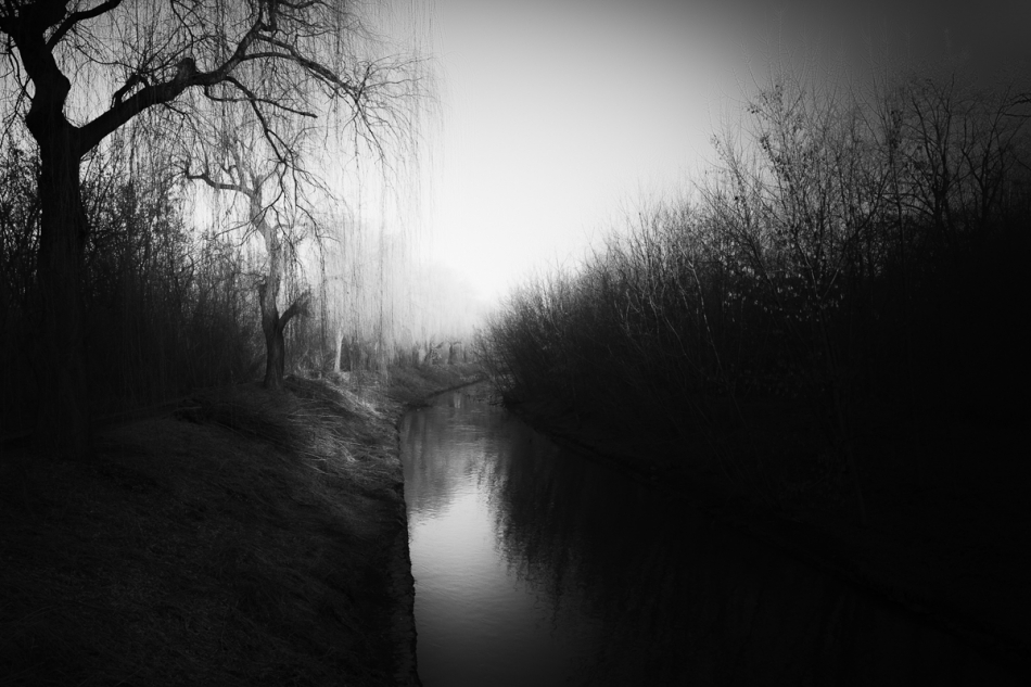 mrowkap - Styks. . Zdjęcie 269555