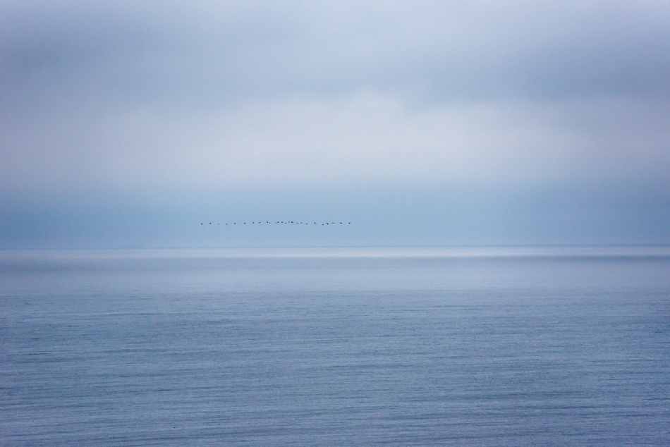 jerzy_safijanski - Blue. . Zdjęcie 313437