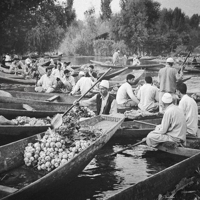slavcic - Dal Lake series. (5) Indie, Kaszmir, Srinagar; warzywny targ wodny na jeziorze Dal. przypływa tu dużo łódek i czółen a każda pełna warzyw. jedni kupuja, inni sprzedają, jeszcze inni wymieniają się. dużo i szybko się dzieje, a wszystko na wodz